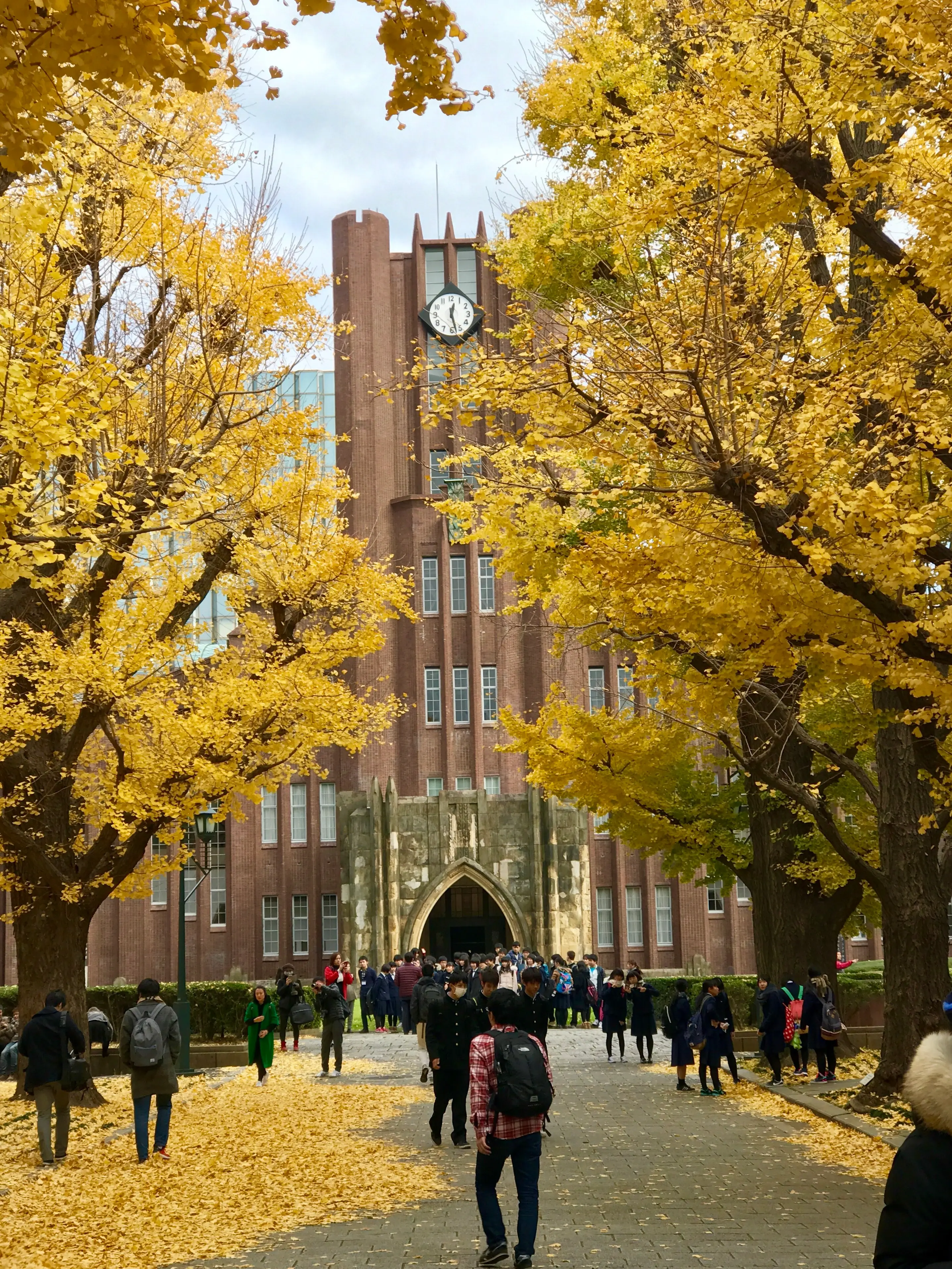 7. Student Visa for Japan